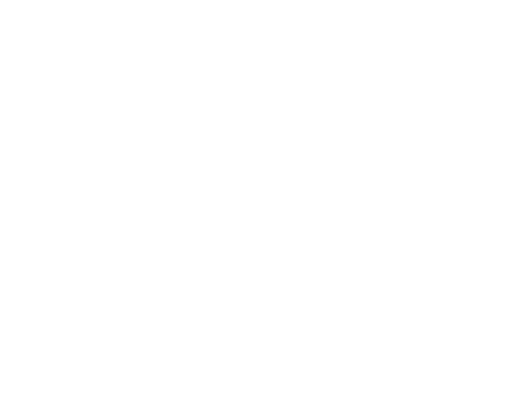 Charles Lopes