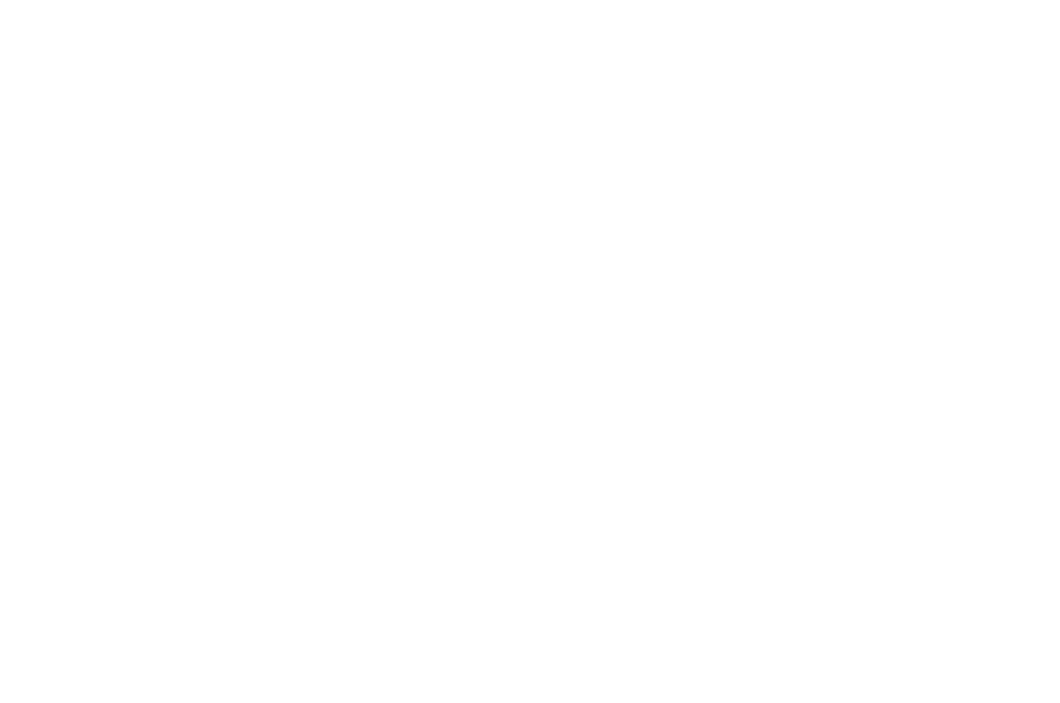Focus Custom